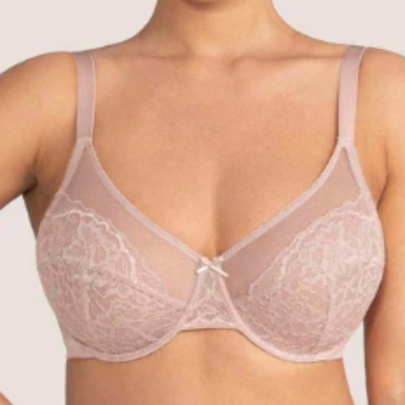 NWOT Hsia Enchante Pink Lace Underwire Bra 38DDD - Picture 1 of 9